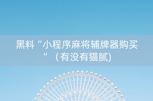 黑料“小程序麻将辅牌器购买”（有没有猫腻)