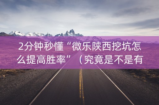 2分钟秒懂“微乐陕西挖坑怎么提高胜率”（究竟是不是有挂)