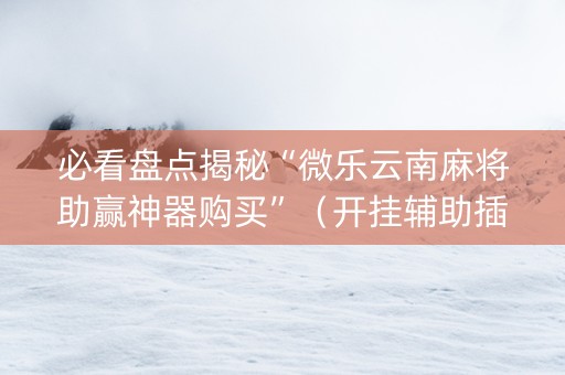 必看盘点揭秘“微乐云南麻将助赢神器购买”（开挂辅助插件)