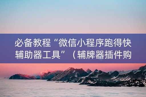 必备教程“微信小程序跑得快辅助器工具”（辅牌器插件购买)