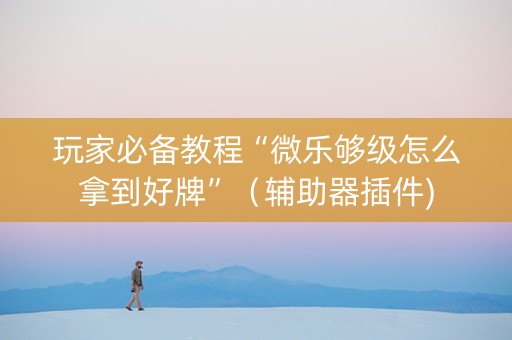 玩家必备教程“微乐够级怎么拿到好牌”（辅助器插件)