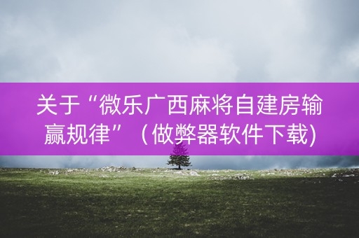 关于“微乐广西麻将自建房输赢规律”（做弊器软件下载)