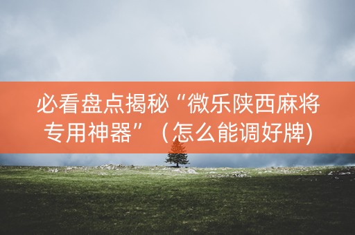 必看盘点揭秘“微乐陕西麻将专用神器”（怎么能调好牌)