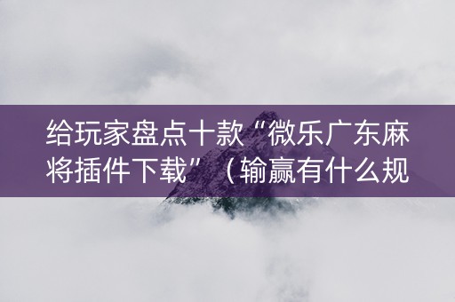给玩家盘点十款“微乐广东麻将插件下载”（输赢有什么规律)