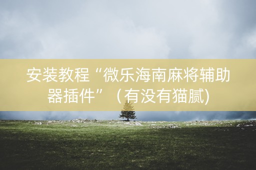 安装教程“微乐海南麻将辅助器插件”（有没有猫腻)