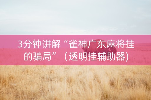 3分钟讲解“雀神广东麻将挂的骗局”（透明挂辅助器)