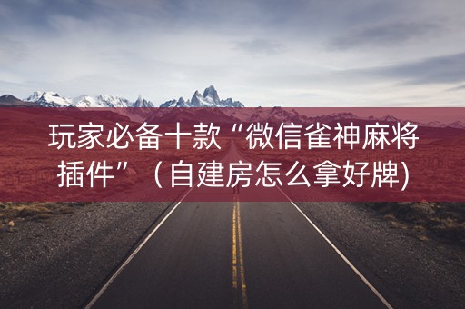 玩家必备十款“微信雀神麻将插件”（自建房怎么拿好牌)