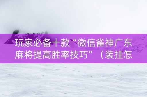 玩家必备十款“微信雀神广东麻将提高胜率技巧”（装挂怎么安装)