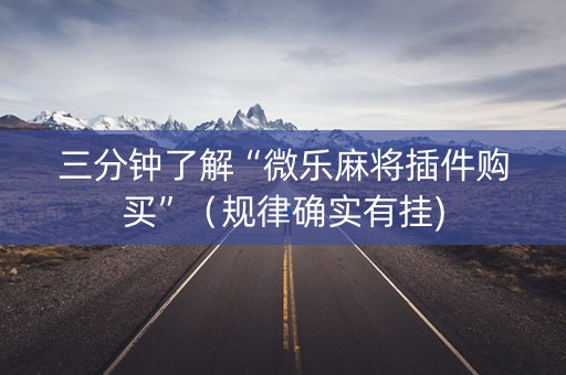 三分钟了解“微乐麻将插件购买”（规律确实有挂)