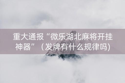 重大通报“微乐湖北麻将开挂神器”（发牌有什么规律吗)