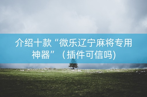 介绍十款“微乐辽宁麻将专用神器”（插件可信吗)