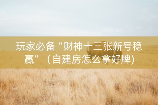 玩家必备“财神十三张新号稳赢”（自建房怎么拿好牌)