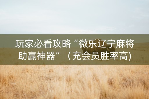 玩家必看攻略“微乐辽宁麻将助赢神器”（充会员胜率高)