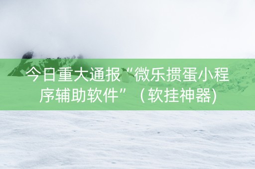 今日重大通报“微乐掼蛋小程序辅助软件”（软挂神器)