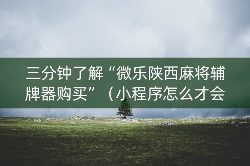 三分钟了解“微乐陕西麻将辅牌器购买”（小程序怎么才会赢)