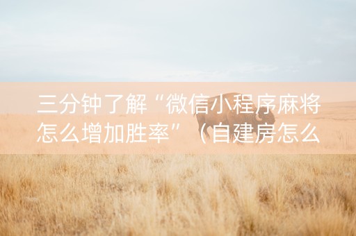三分钟了解“微信小程序麻将怎么增加胜率”（自建房怎么拿好牌)