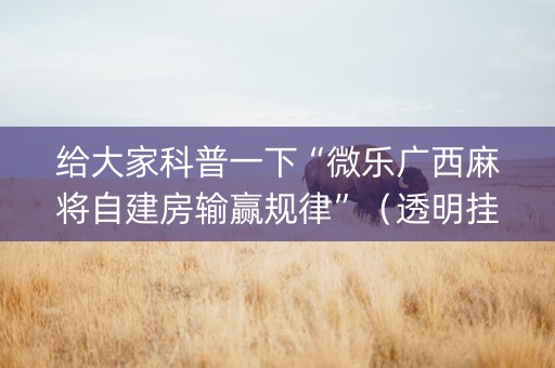 给大家科普一下“微乐广西麻将自建房输赢规律”（透明挂辅助器)
