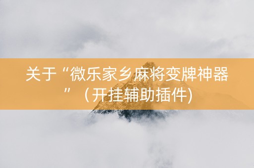 关于“微乐家乡麻将变牌神器”（开挂辅助插件)