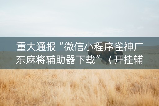 重大通报“微信小程序雀神广东麻将辅助器下载”（开挂辅助脚本)