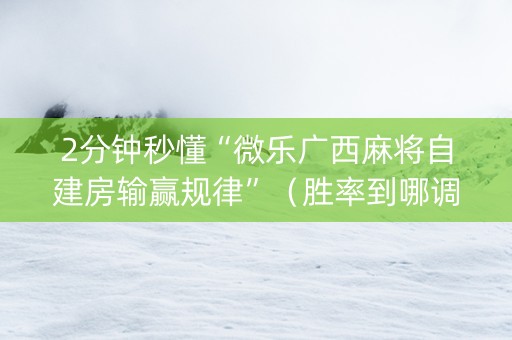 2分钟秒懂“微乐广西麻将自建房输赢规律”（胜率到哪调)