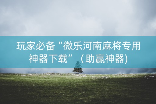 玩家必备“微乐河南麻将专用神器下载”（助赢神器)