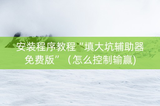 安装程序教程“填大坑辅助器免费版”（怎么控制输赢)
