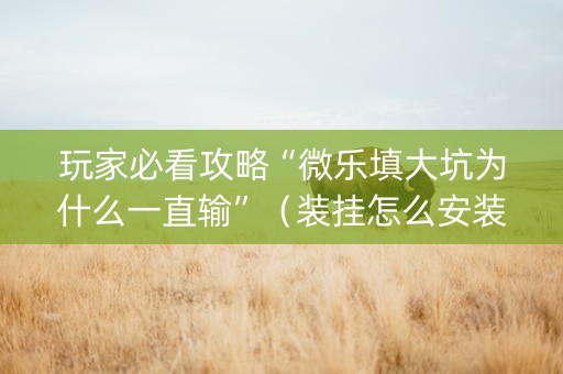 玩家必看攻略“微乐填大坑为什么一直输”（装挂怎么安装)