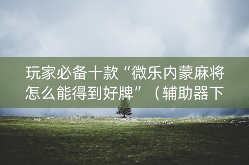 玩家必备十款“微乐内蒙麻将怎么能得到好牌”（辅助器下载)