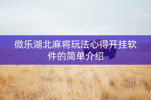 微乐湖北麻将玩法心得开挂软件的简单介绍
