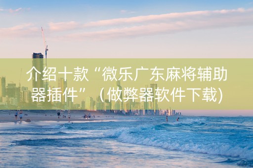 介绍十款“微乐广东麻将辅助器插件”（做弊器软件下载)