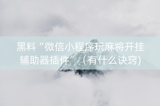 黑料“微信小程序玩麻将开挂辅助器插件”（有什么诀窍)