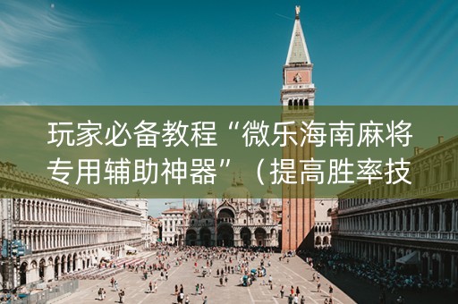 玩家必备教程“微乐海南麻将专用辅助神器”（提高胜率技巧)