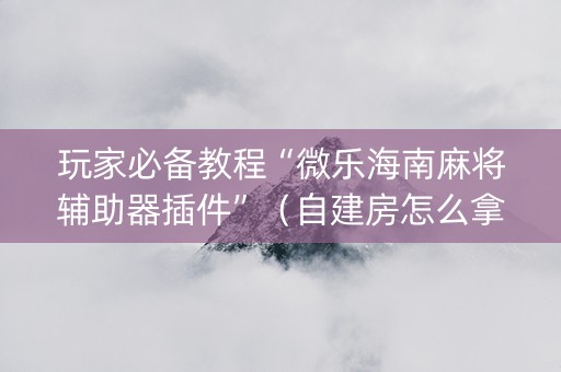 玩家必备教程“微乐海南麻将辅助器插件”（自建房怎么拿好牌)