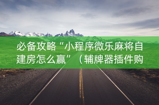 必备攻略“小程序微乐麻将自建房怎么赢”（辅牌器插件购买)