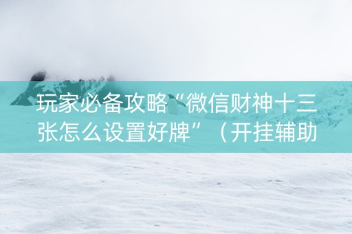 玩家必备攻略“微信财神十三张怎么设置好牌”（开挂辅助器插件)