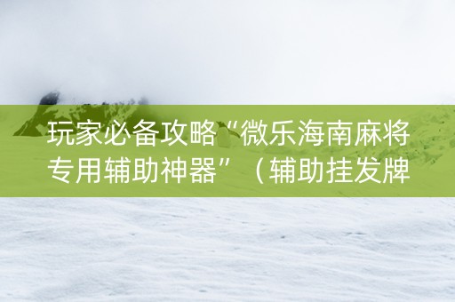 玩家必备攻略“微乐海南麻将专用辅助神器”（辅助挂发牌规律)