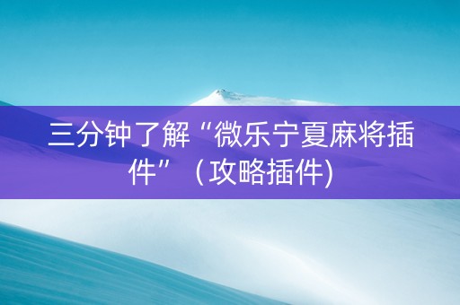 三分钟了解“微乐宁夏麻将插件”（攻略插件)