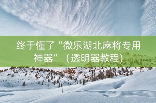 终于懂了“微乐湖北麻将专用神器”（透明器教程)
