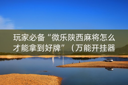 玩家必备“微乐陕西麻将怎么才能拿到好牌”（万能开挂器)