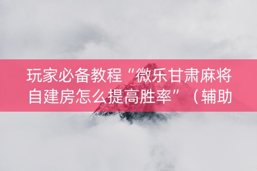 玩家必备教程“微乐甘肃麻将自建房怎么提高胜率”（辅助器下载)