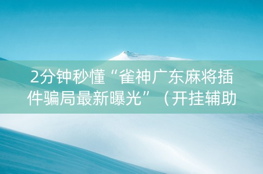 2分钟秒懂“雀神广东麻将插件骗局最新曝光”（开挂辅助脚本)
