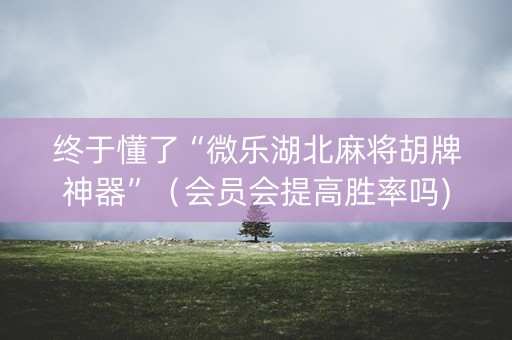 终于懂了“微乐湖北麻将胡牌神器”（会员会提高胜率吗)