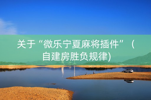 关于“微乐宁夏麻将插件”（自建房胜负规律)