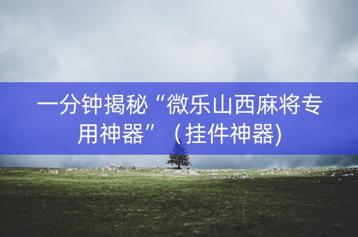 一分钟揭秘“微乐山西麻将专用神器”（挂件神器)