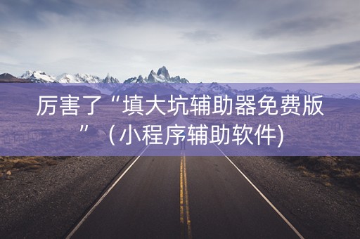 厉害了“填大坑辅助器免费版”（小程序辅助软件)