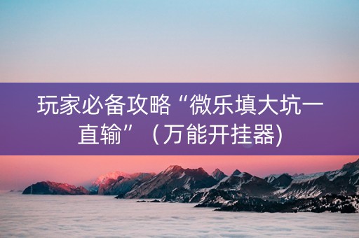 玩家必备攻略“微乐填大坑一直输”（万能开挂器)