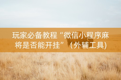 玩家必备教程“微信小程序麻将是否能开挂”（外辅工具)