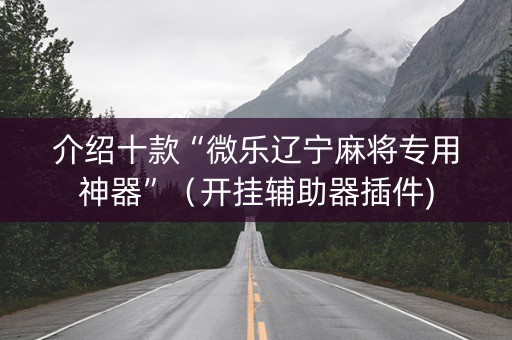 介绍十款“微乐辽宁麻将专用神器”（开挂辅助器插件)