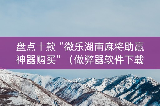 盘点十款“微乐湖南麻将助赢神器购买”（做弊器软件下载)