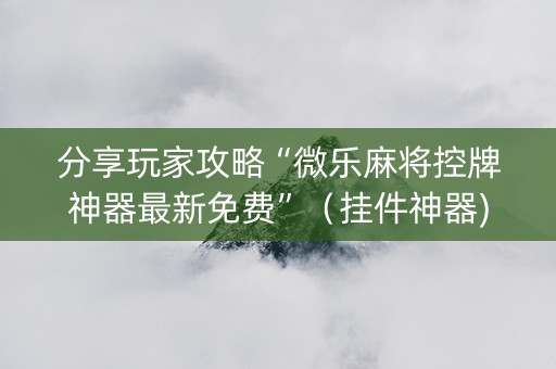 分享玩家攻略“微乐麻将控牌神器最新免费”（挂件神器)